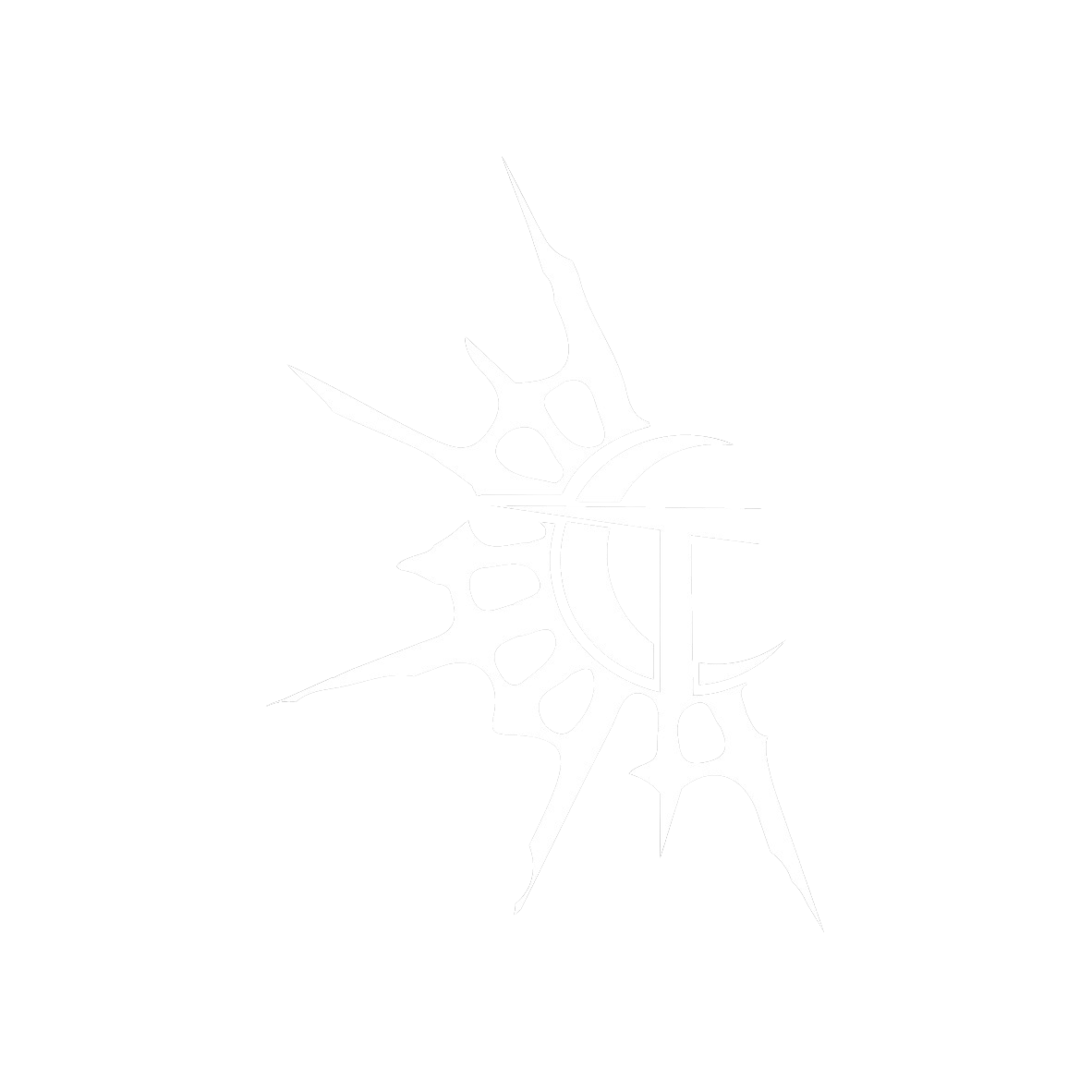 65d2cacaf386a810e7a11c52